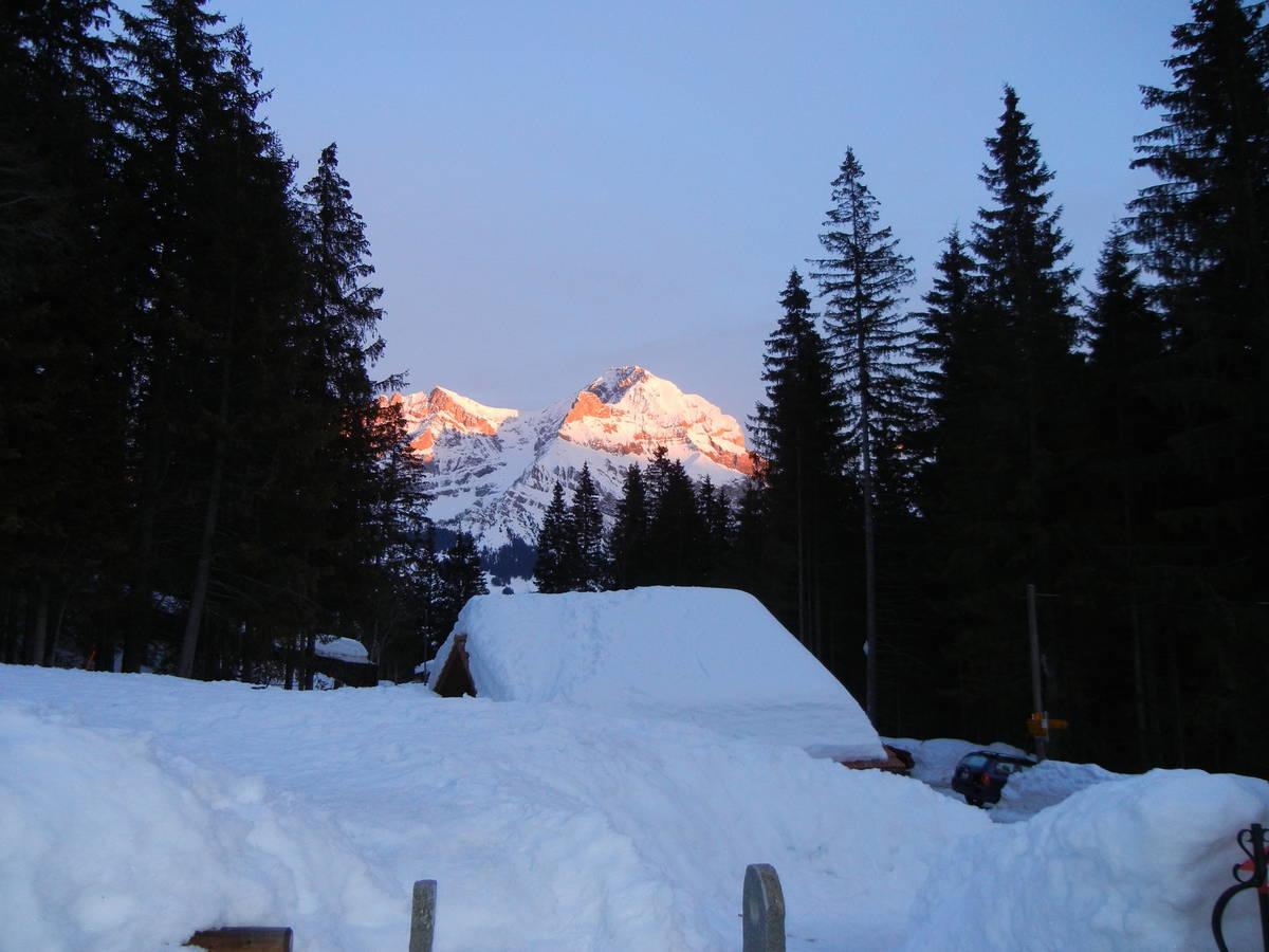 Restaurant Hotel Schermtanne Adelboden Exterior foto